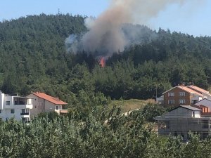 Bursa'da orman yangını!