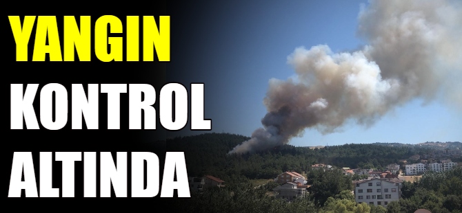 Bursa'da orman yangını