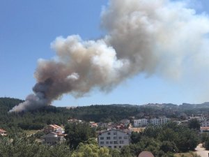 Bursa'da orman yangını