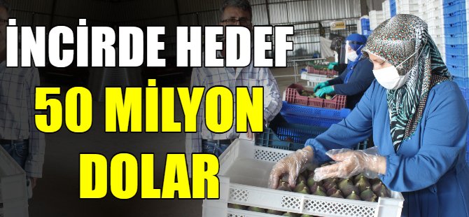 İncirde hedef 50 milyon dolar!