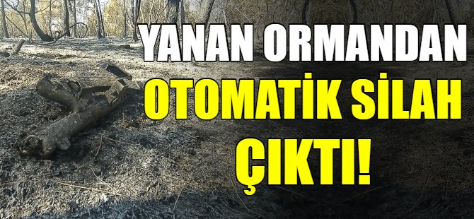 Yanan ormanda otomatik tüfek bulundu!