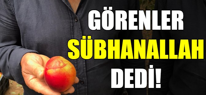 Görenler Sübhanallah dedi!