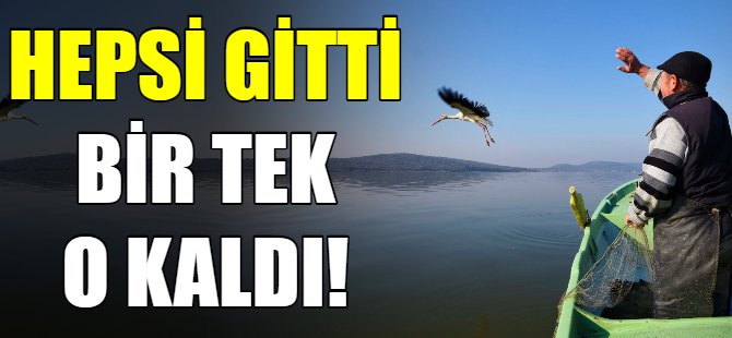 Hepsi gitti, o kaldı