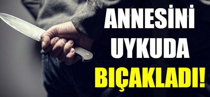 Annesini uykuda bıçakladı!
