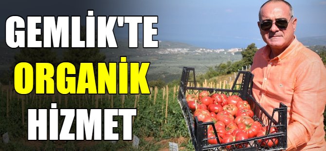 Gemlik'te organik hizmet!