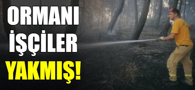 Ormanı işçiler yakmış!