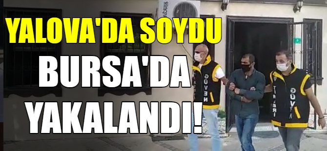 Yalova'da soydu Bursa'da yakalandı!