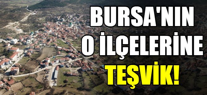 Bursa'nın o ilçelerine teşvik!
