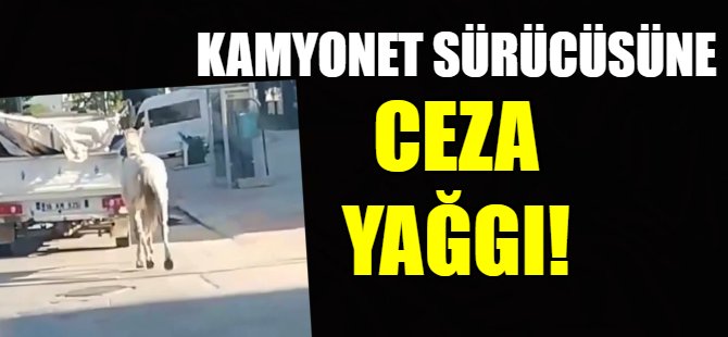 Atı kamyonete bağladı cezadan kurtulamadı