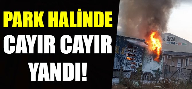 Park halinde alev alev yandı!