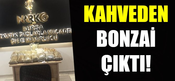 Kahveden bonzai çıktı!