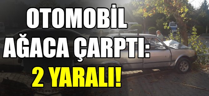 Otomobil ağaca çarptı!