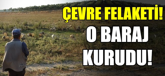 Bursa'da o baraj kurudu!