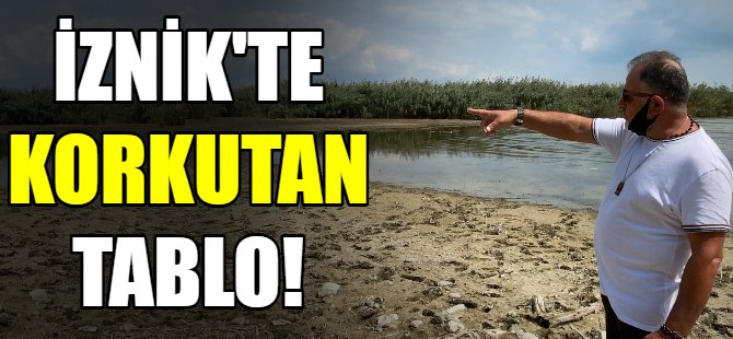 İznik'te korkutan tablo!