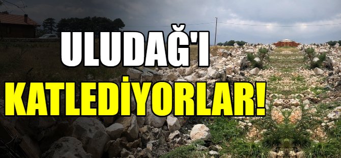 Uludağ'ı katlediyorlar!