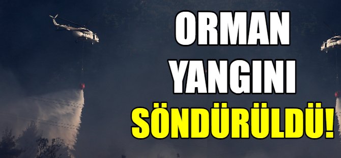 Orman yangını söndürüldü!