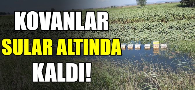 Kovanlar sular altında kaldı!