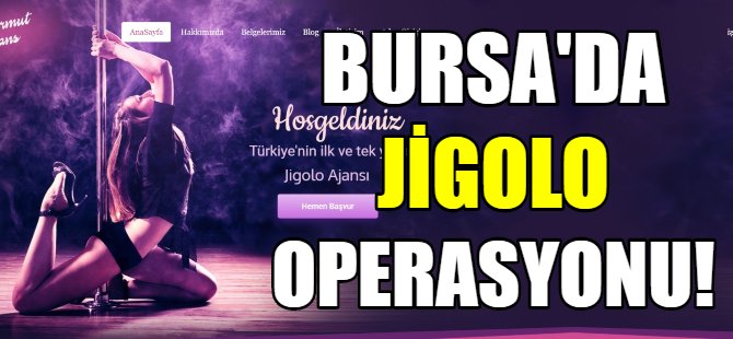 Bursa'da jigolo operasyonu!