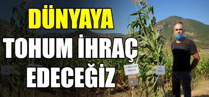 Bursa dünyaya tohum ihraç edecek