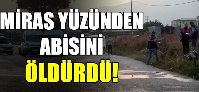 Miras kavgasında ağabeyini öldürdü!