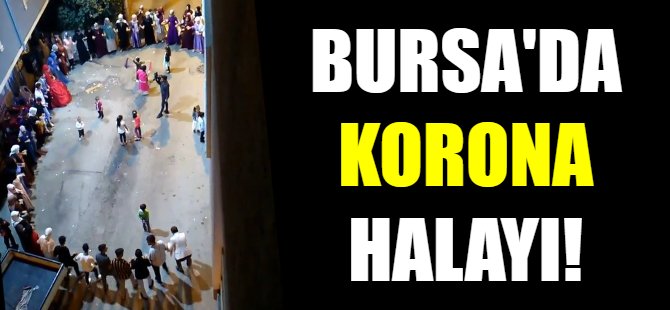 Bursa'da korona halayı!