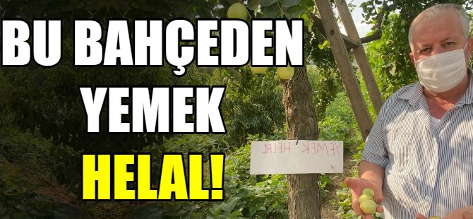 Bu bahçeden yemek helal!