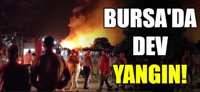 Bursa'da dev yangın!