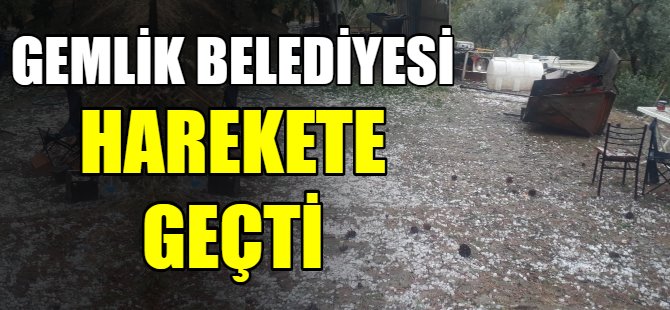 Gemlik Belediyesi harekete geçti