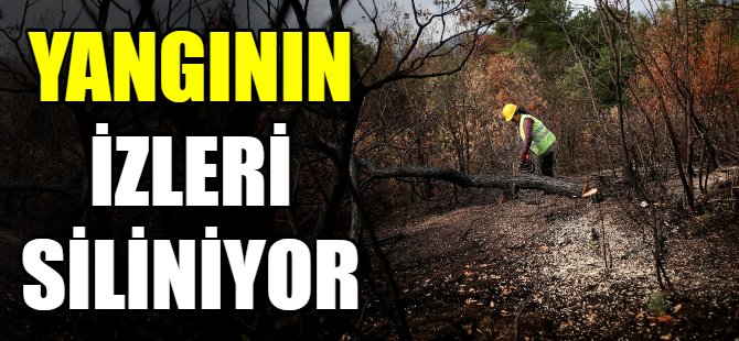 Yangının  izleri siliniyor