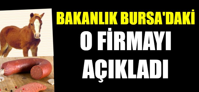 Bursa'da sucuktan at eti çıktı!