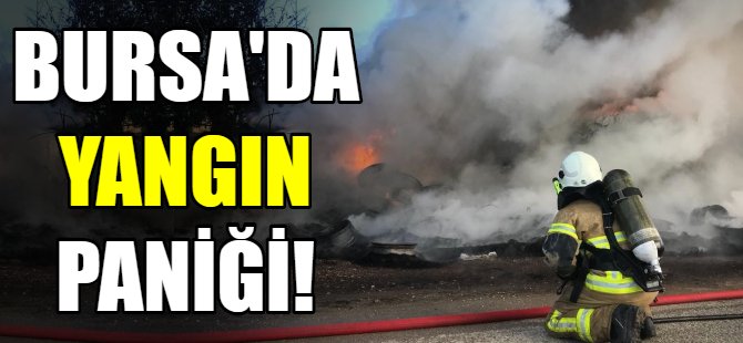 Bursa'da yangın paniği!