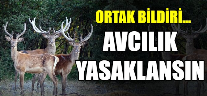 Avcılık yasaklansın!