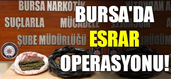 Bursa'da esrar operasyonu!