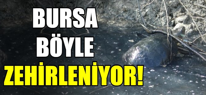 Bursa böyle zehirleniyor!