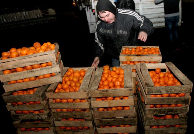 20 ton mandalinayı Türkiye’ye geri gönderdi