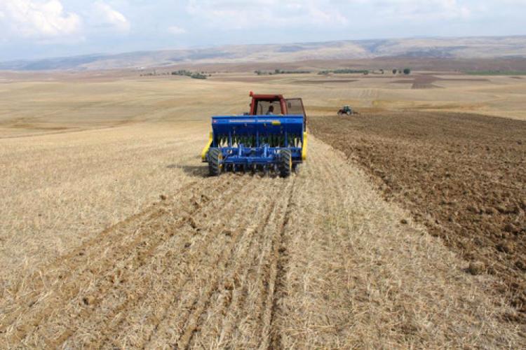 Türkiye’de kırmızı mercimek üretimi 10 yılda 85 bin ton azaldı