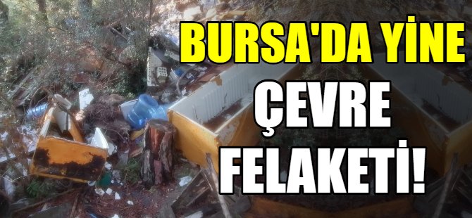 Bursa'da yine çevre katliamı!