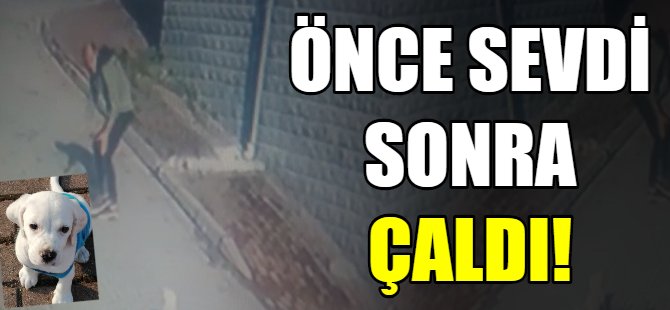Önce sevdi sonra çaldı!