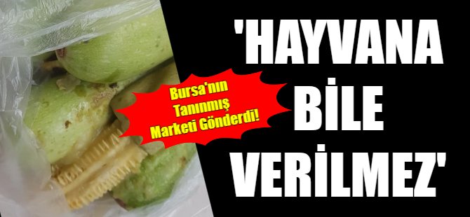 Bursa'da marketten verdiği siparişler böyle geldi!