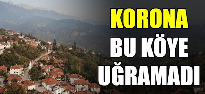 Bu köye korona uğramadı