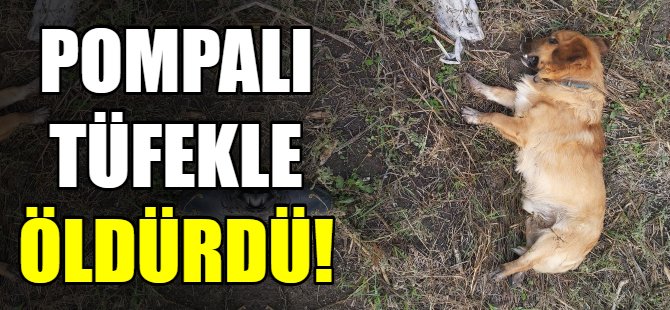 Bu nasıl vicdansızlık!
