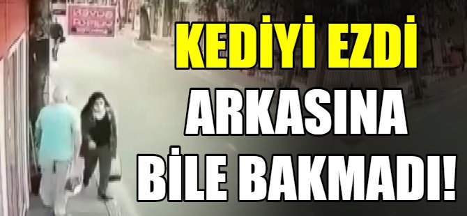 Kediyi ezdi arkasına bile bakmadı!
