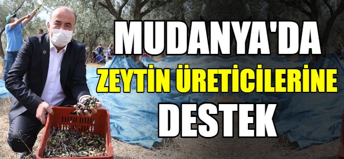 Mudanya'da zeytin üreticisine destek