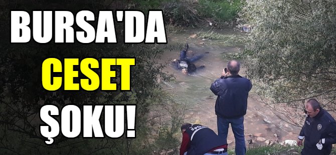 Bursa'da ceset şoku!
