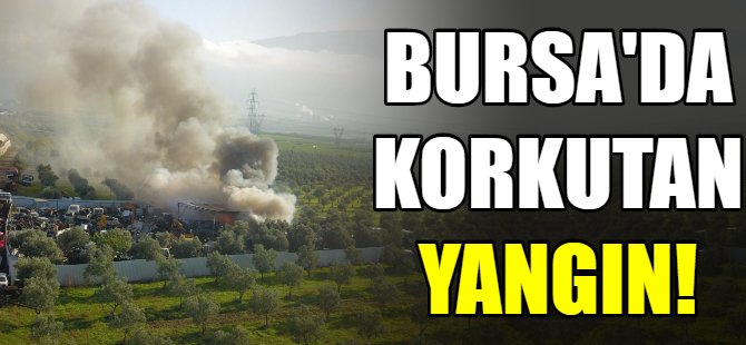 Bursa'da korkutan yangın