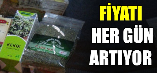Korona kekiğe ilgiyi artırdı