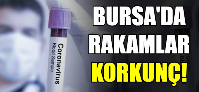 Bursa'da korona rakamları korkunç!