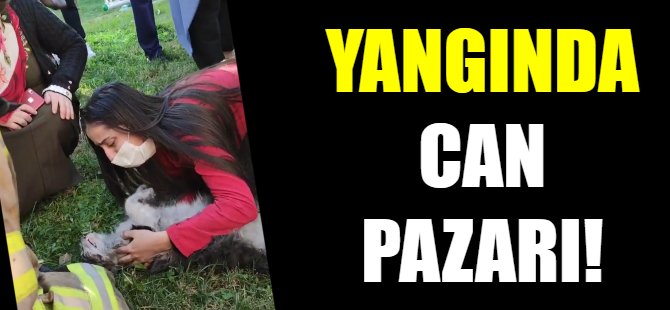 Bursa'da can pazarı!