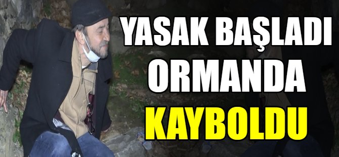 Ormanda kayboldu!