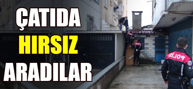 Çatıda hırsız aradılar